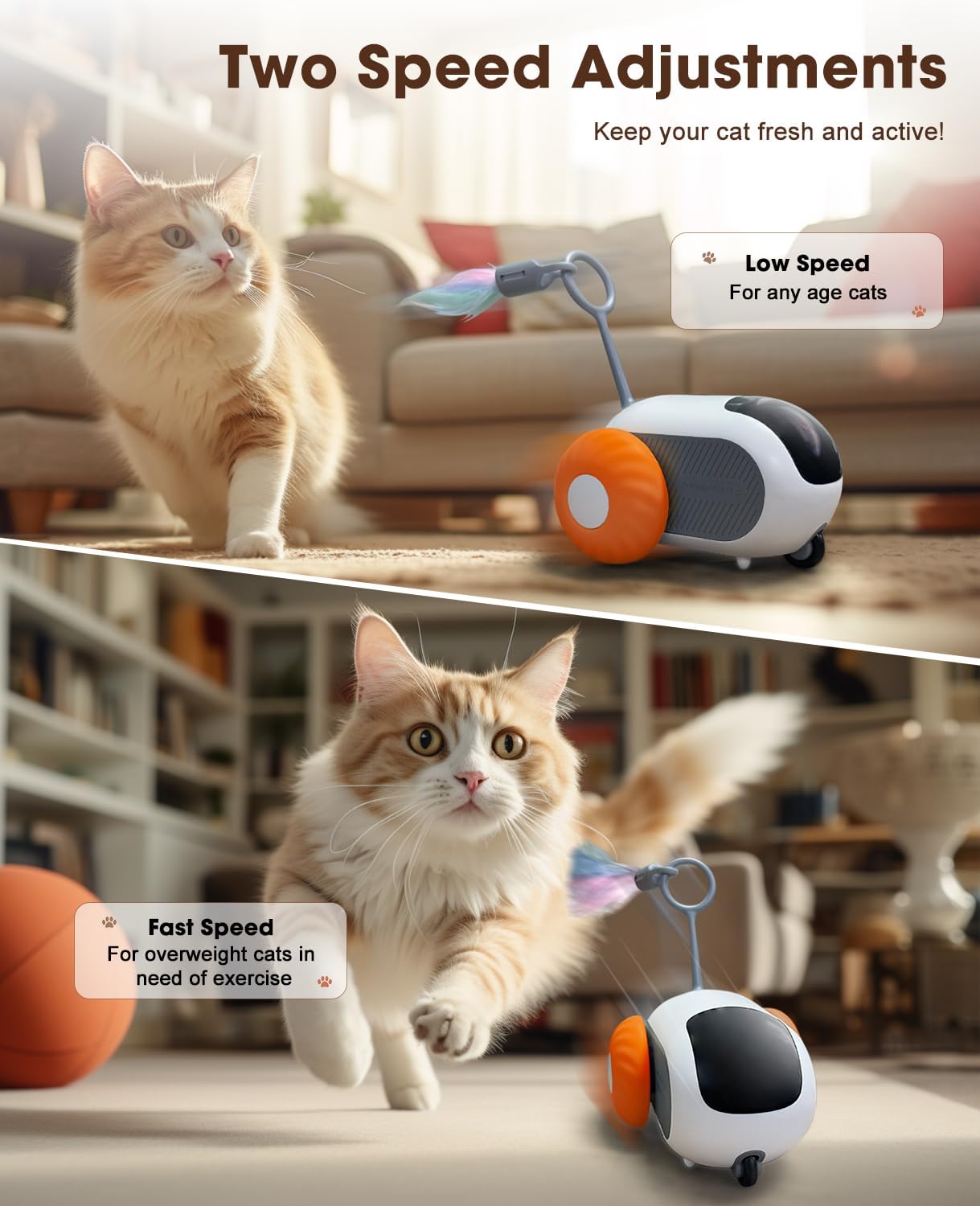 Smart Interactive Cat Toy