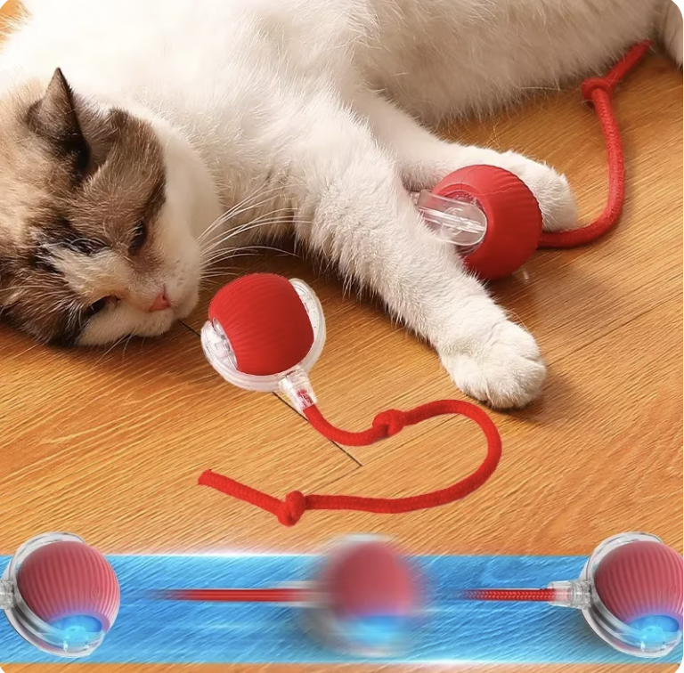 AI Interactive Rolling Ball