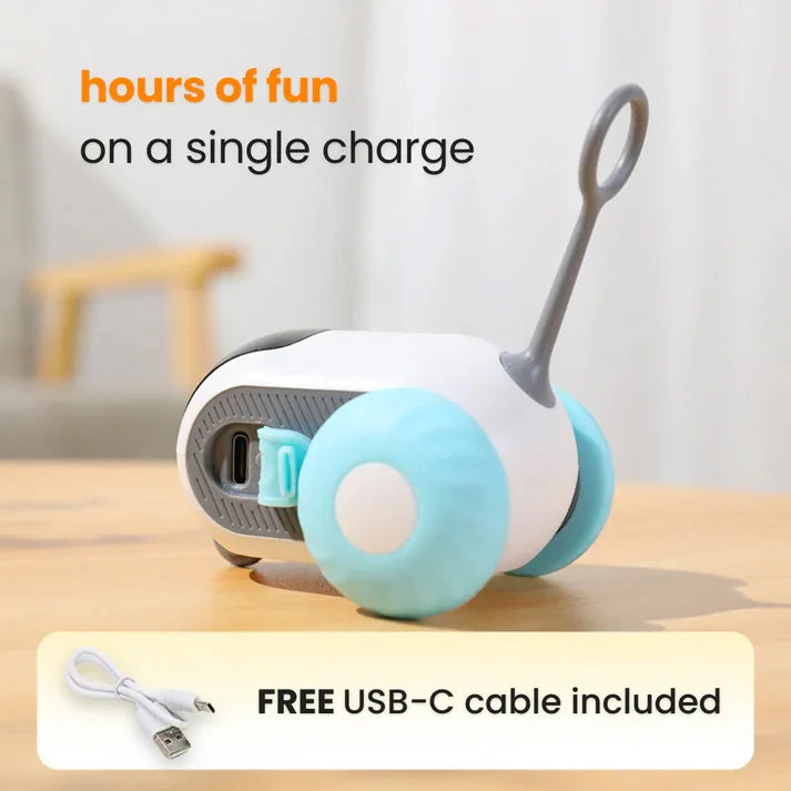 Smart Interactive Cat Toy